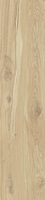 Piastrelle listoni 20X120