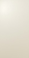 Piastrella beige 40X80
