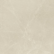 Piastrella 60X60