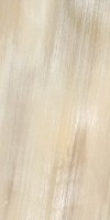 Piastrella Conchiglia 60X120 Roberto Cavalli